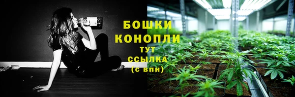 ГАЛЛЮЦИНОГЕННЫЕ ГРИБЫ Нея