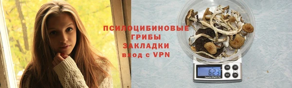 ГАЛЛЮЦИНОГЕННЫЕ ГРИБЫ Нея