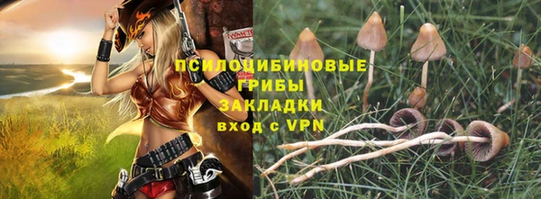 ГАЛЛЮЦИНОГЕННЫЕ ГРИБЫ Нея