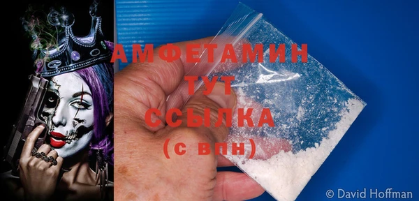 ГАЛЛЮЦИНОГЕННЫЕ ГРИБЫ Нея