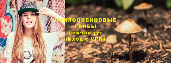 ГАЛЛЮЦИНОГЕННЫЕ ГРИБЫ Нея