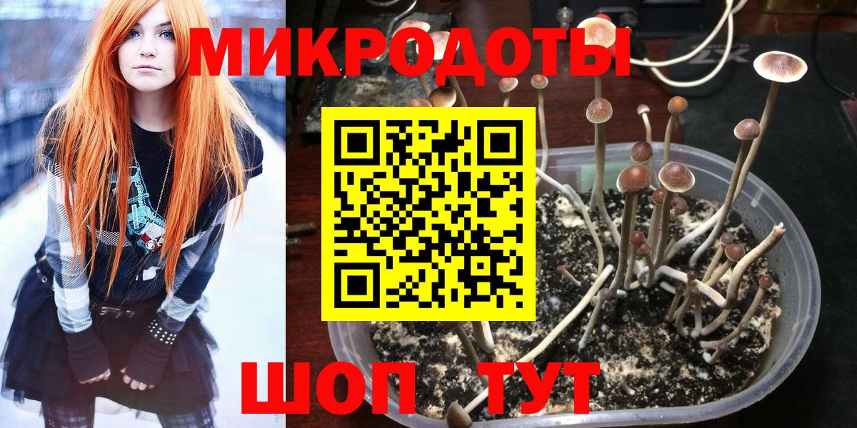 Псилоцибиновые грибы MAGIC MUSHROOMS  Калуга 