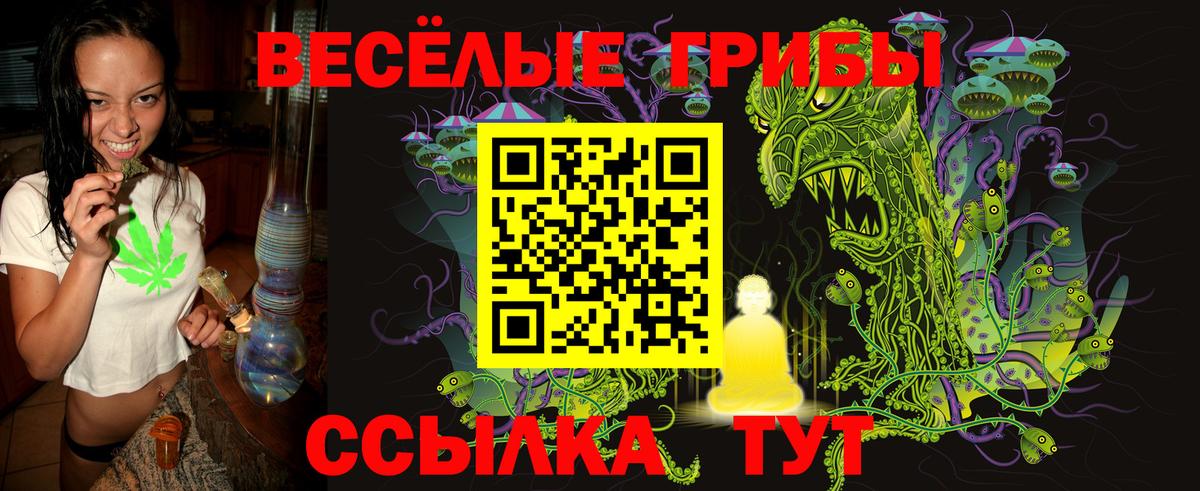 Галлюциногенные грибы GOLDEN TEACHER Калуга